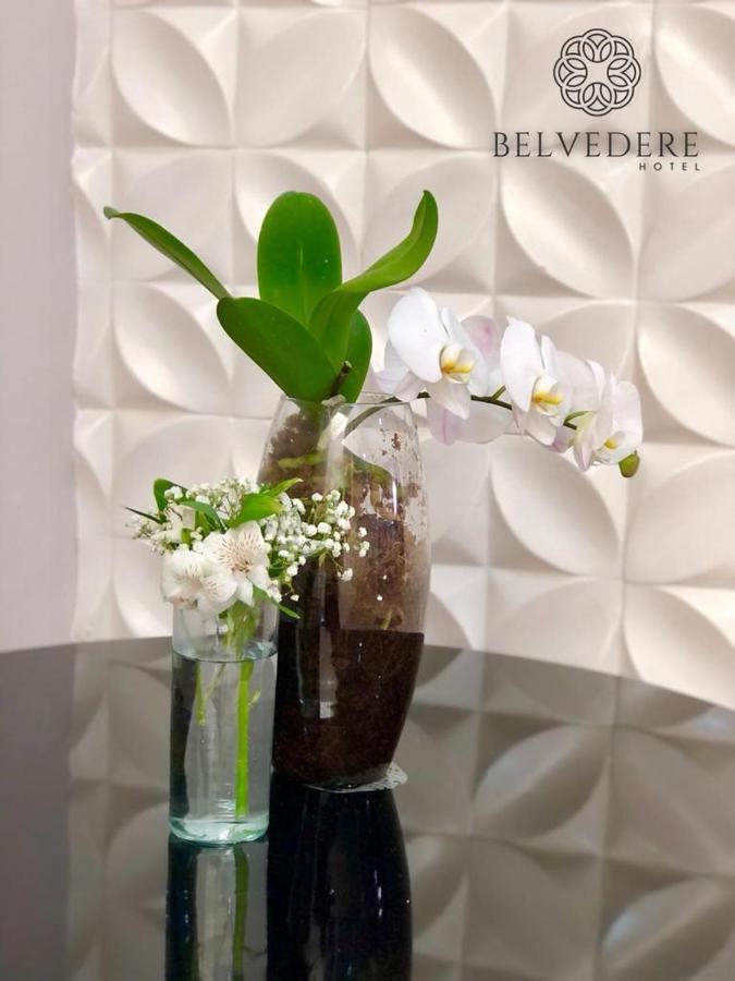 Hotel Belvedere Araras - Facil Acesso Hospital Sao Leopoldo E Faculdades ภายนอก รูปภาพ